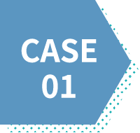 CASE 01