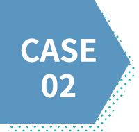 CASE 02